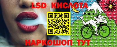 кокс Камышлов