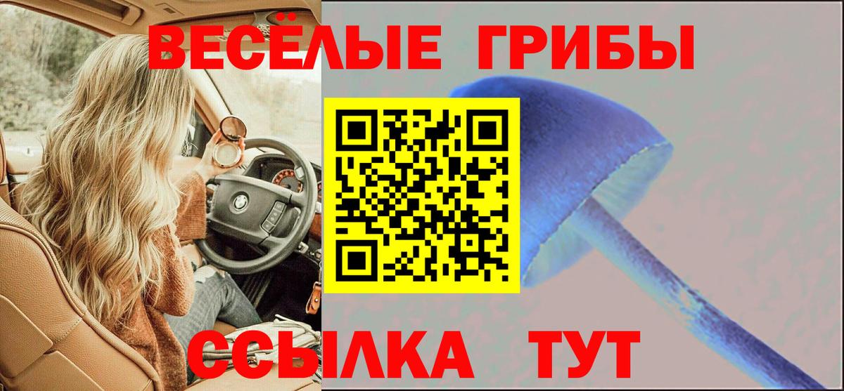 Кстово  Псилоцибиновые грибы мицелий  Вход с VPN  Галлюциногенные грибы мухоморы 