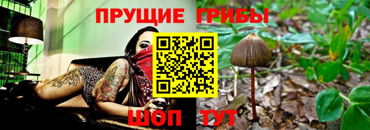Псилоцибиновые грибы ЛСД Кстово